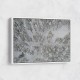 Snow Covered Trees 3 Wall Art