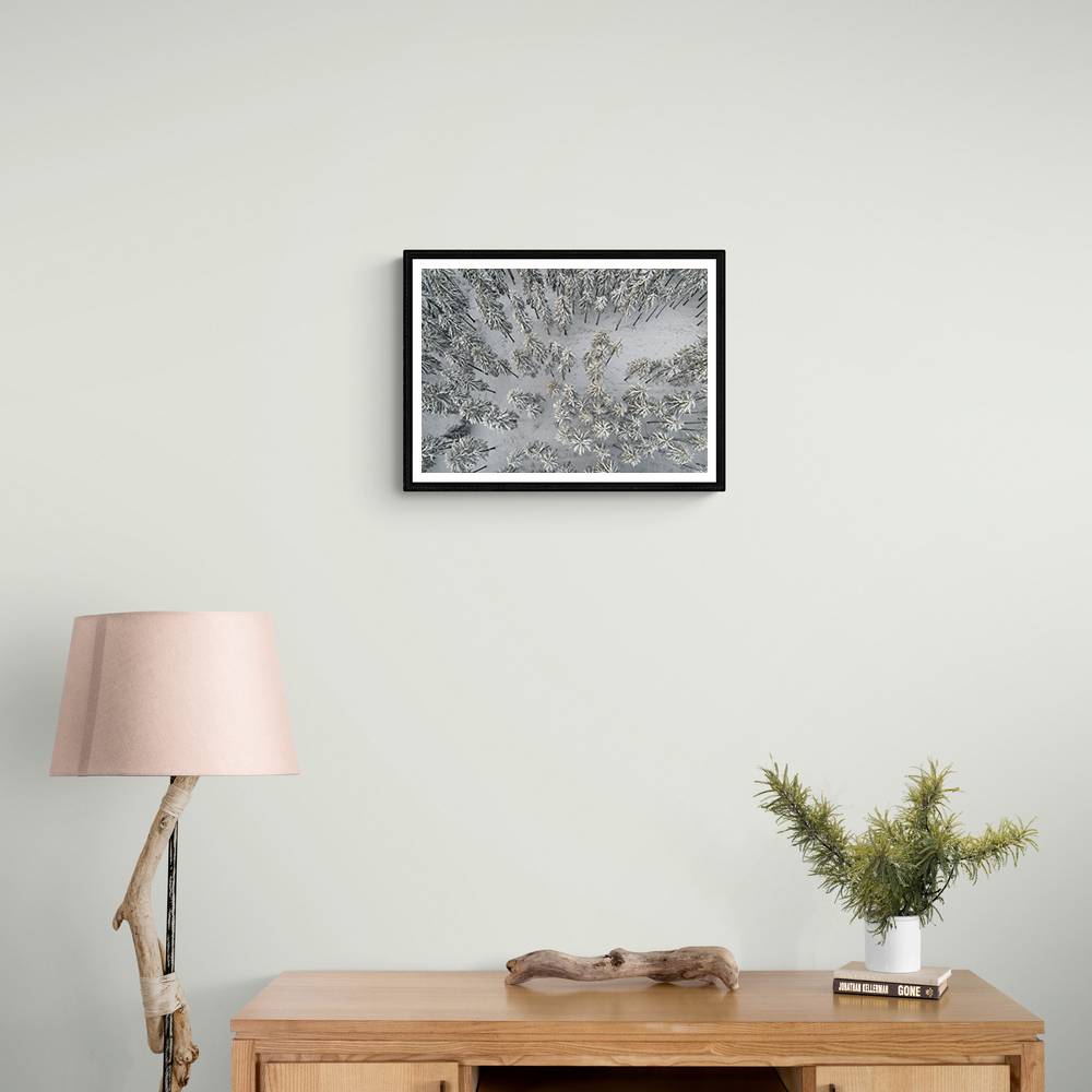 Snow Covered Trees 3 Wall Art