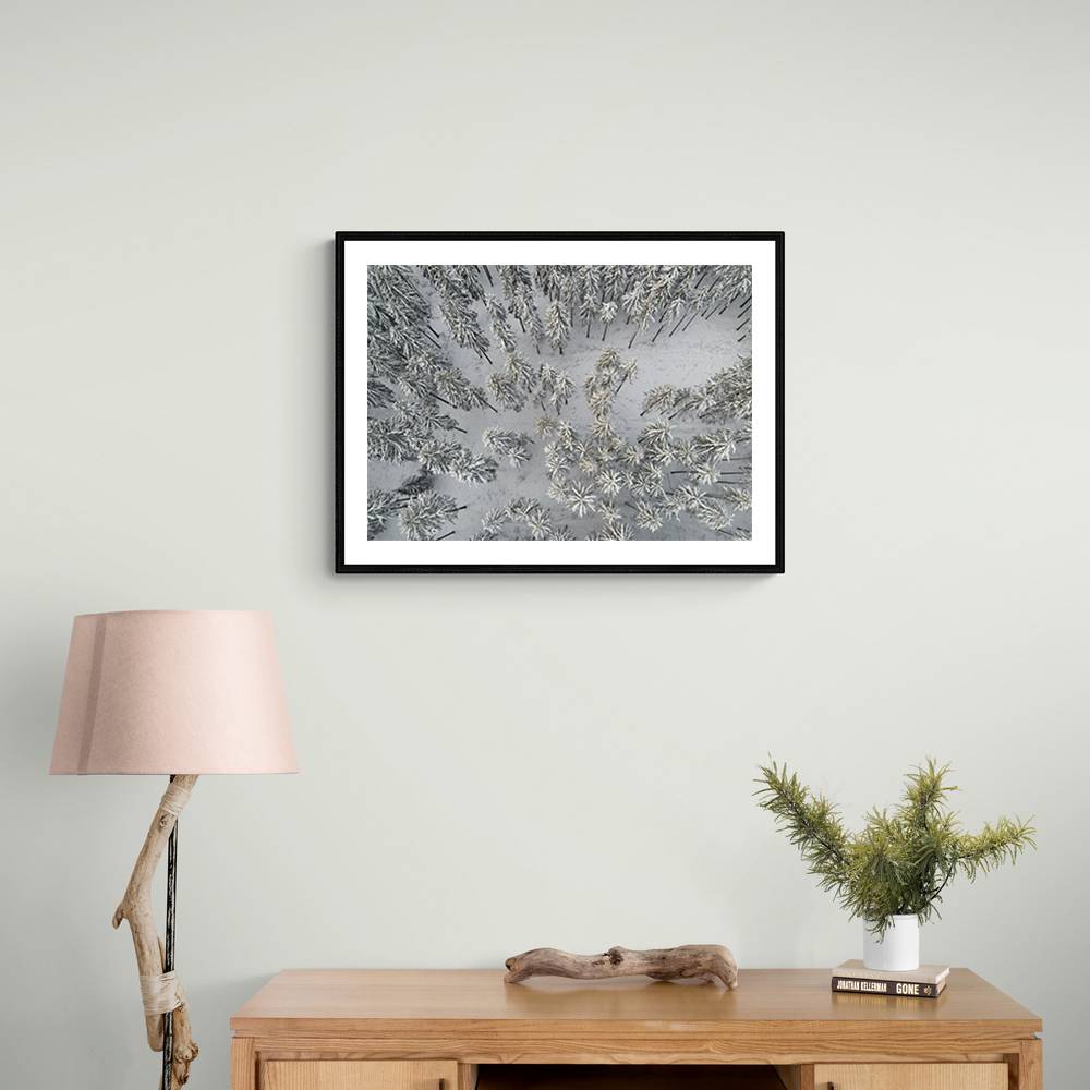 Snow Covered Trees 3 Wall Art