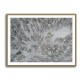 Snow Covered Trees 3 Wall Art