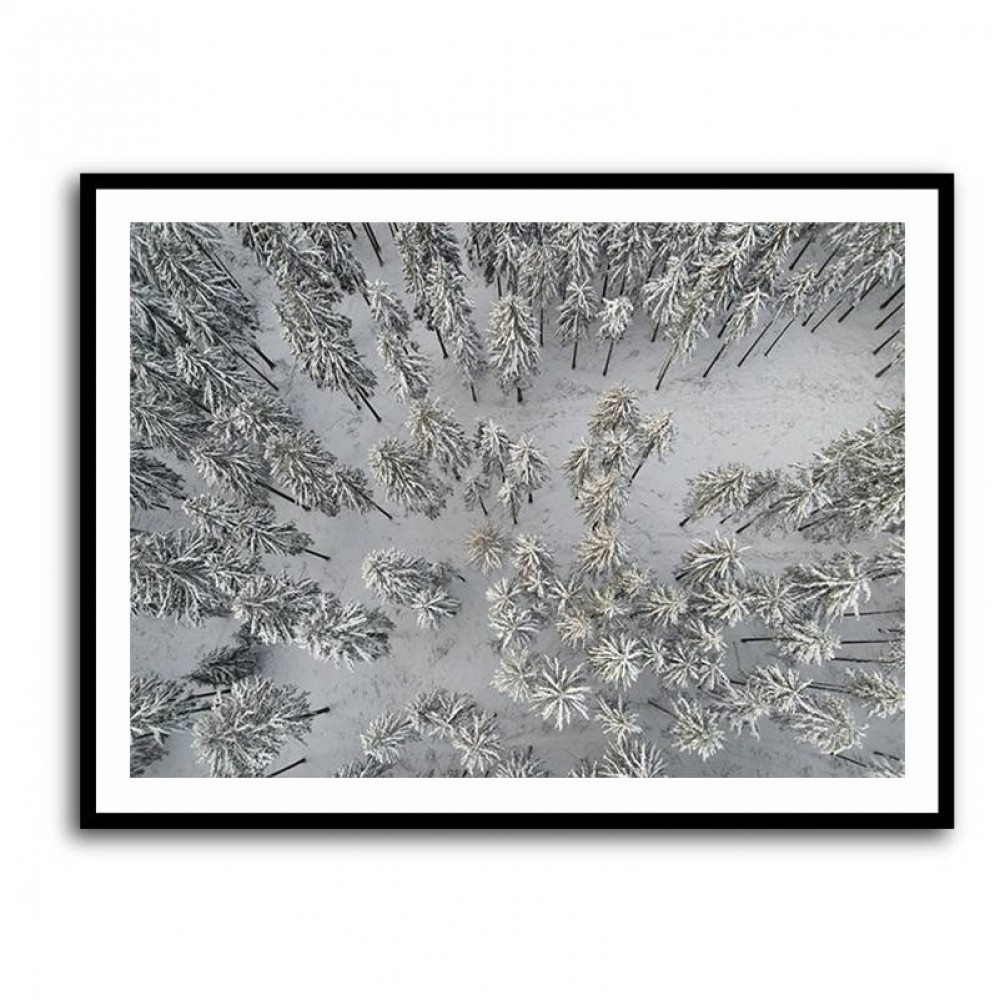 Snow Covered Trees 3 Wall Art