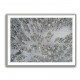 Snow Covered Trees 3 Wall Art