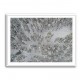 Snow Covered Trees 3 Wall Art