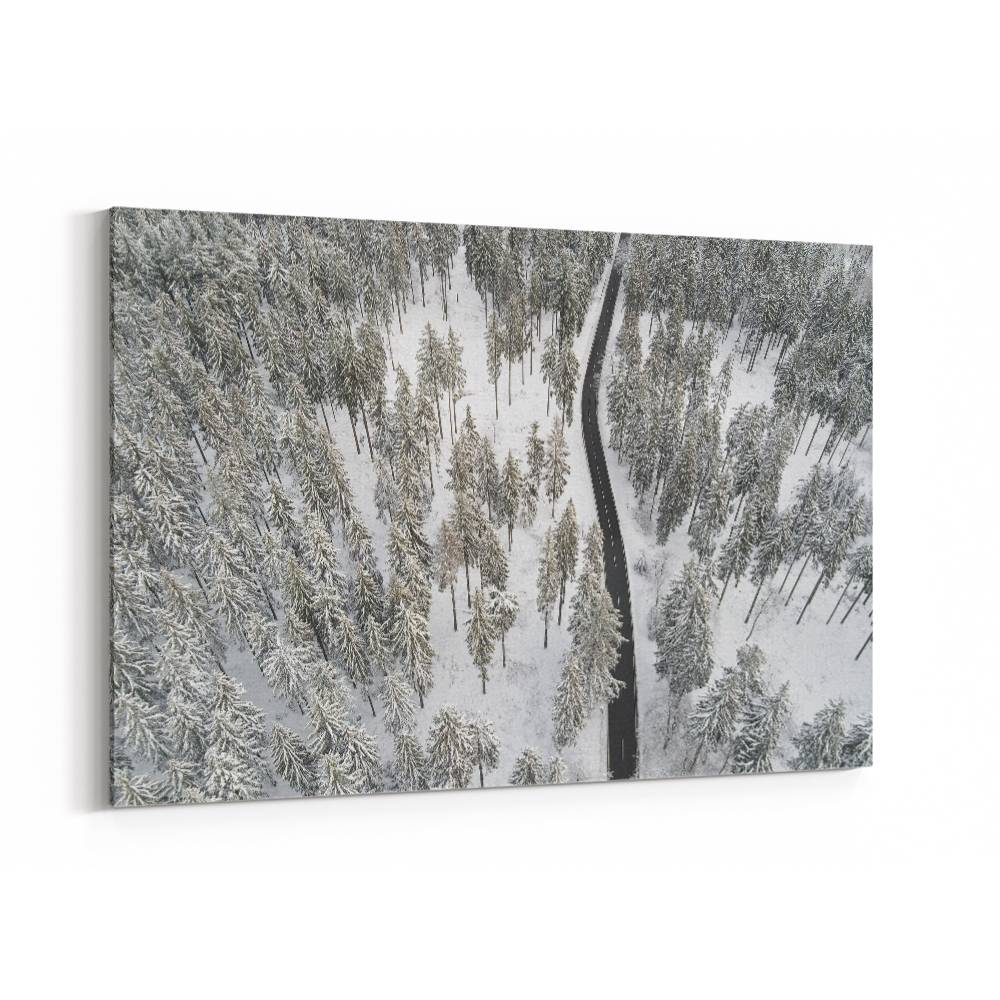 Snow Covered Trees 5 Wall Art