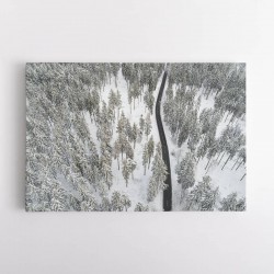 Snow Covered Trees 5 Wall Art