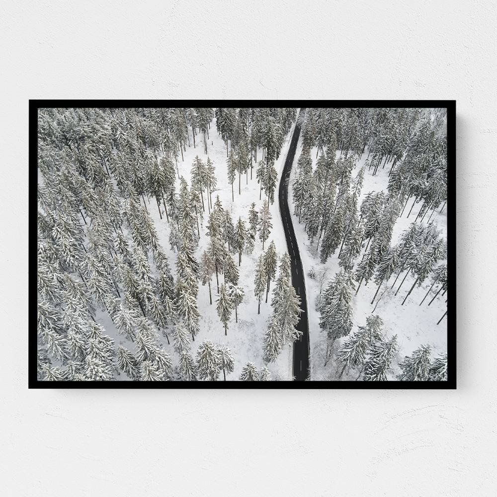 Snow Covered Trees 5 Wall Art