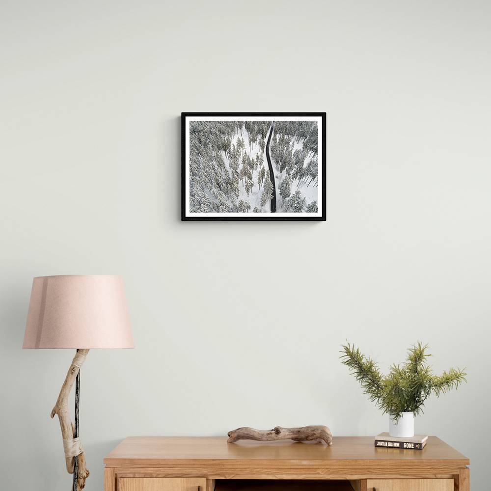 Snow Covered Trees 5 Wall Art