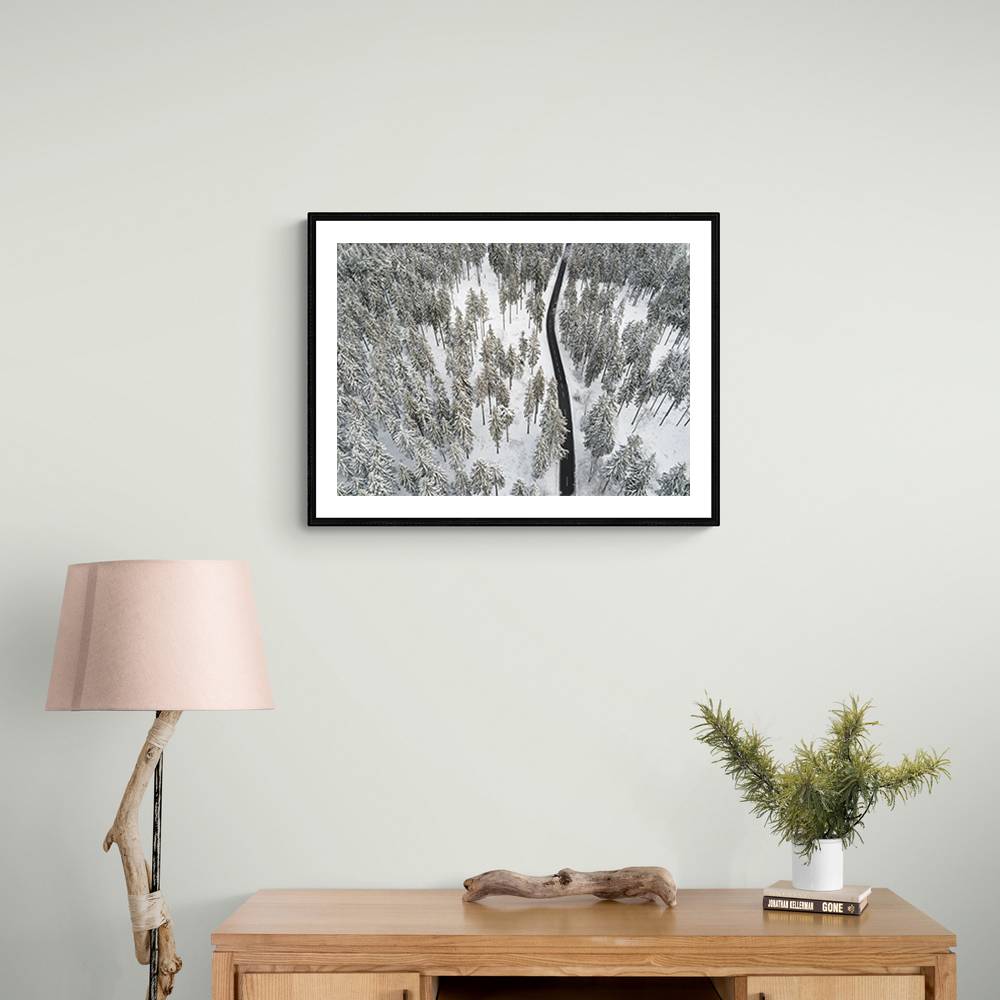 Snow Covered Trees 5 Wall Art