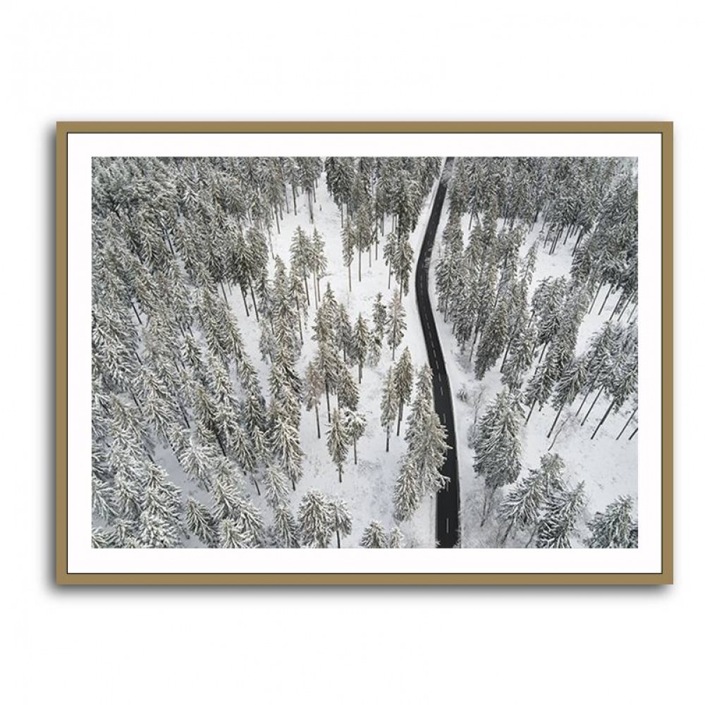 Snow Covered Trees 5 Wall Art