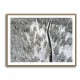 Snow Covered Trees 5 Wall Art