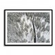 Snow Covered Trees 5 Wall Art