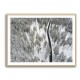 Snow Covered Trees 5 Wall Art