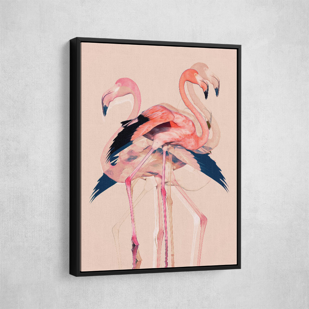 Flamingos No 3