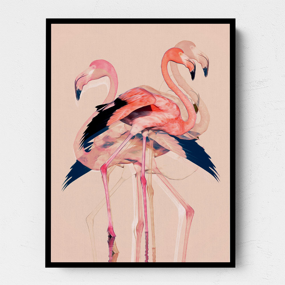 Flamingos No 3