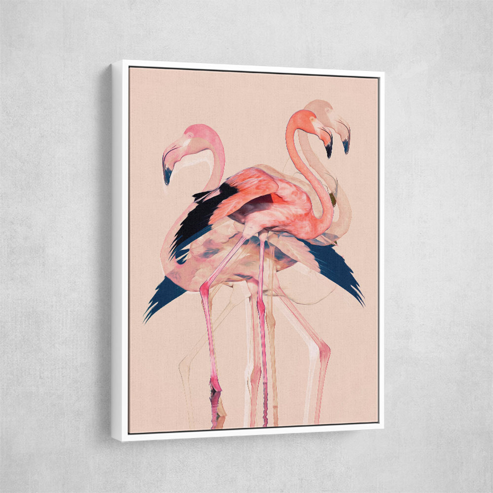 Flamingos No 3