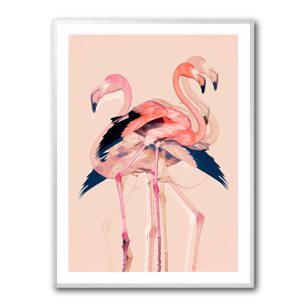 Flamingos No 3