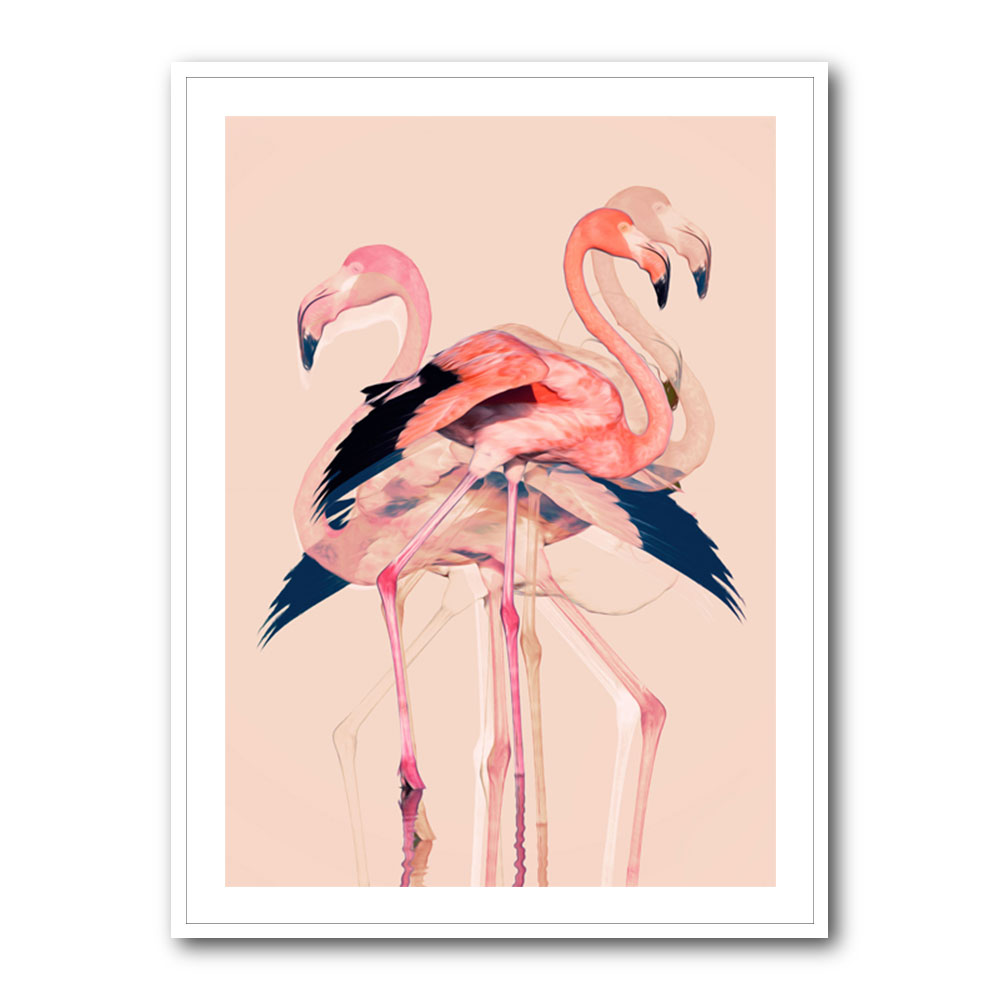 Flamingos No 3