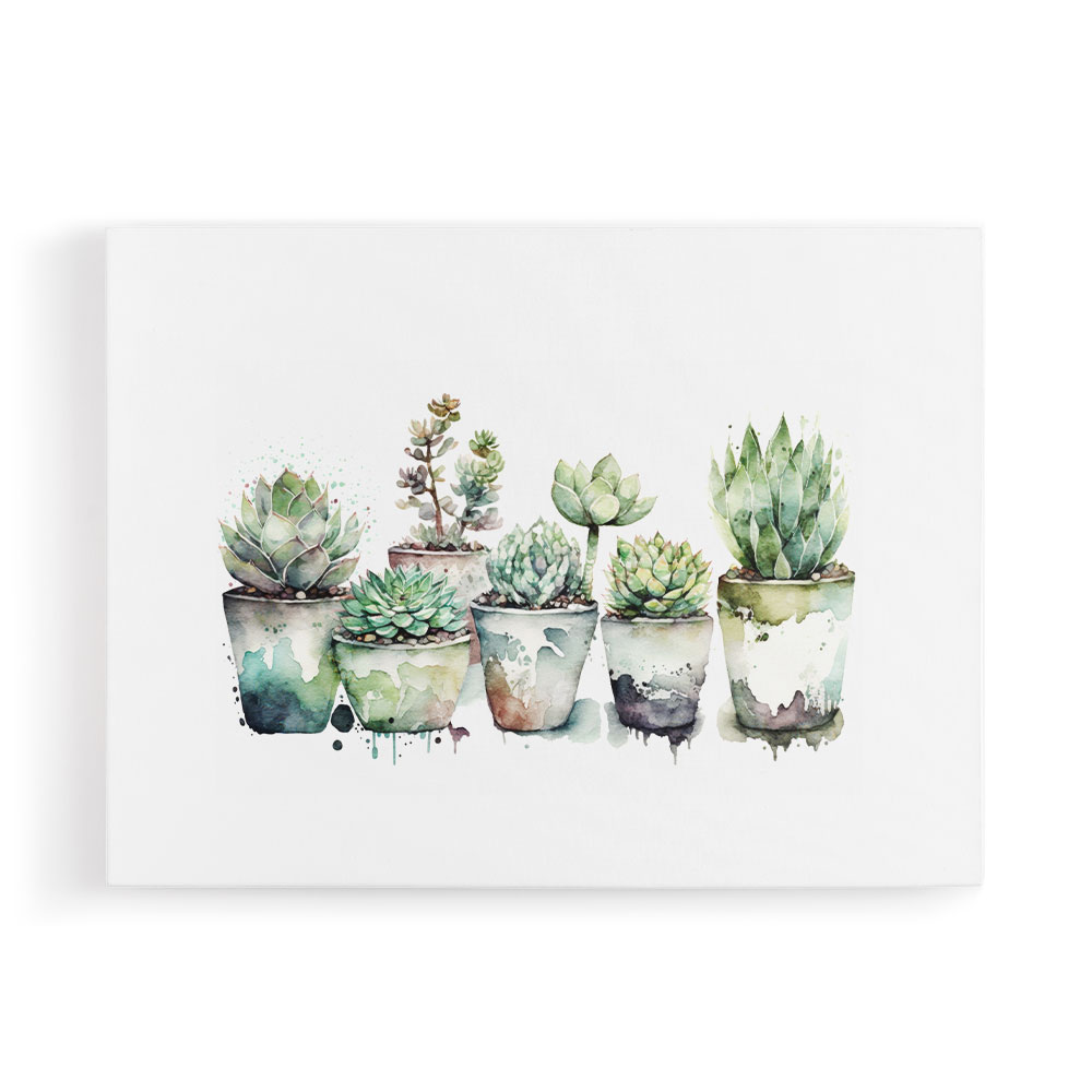 Urban Potted Succulents