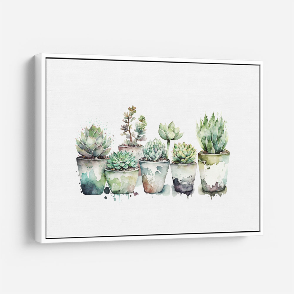 Urban Potted Succulents