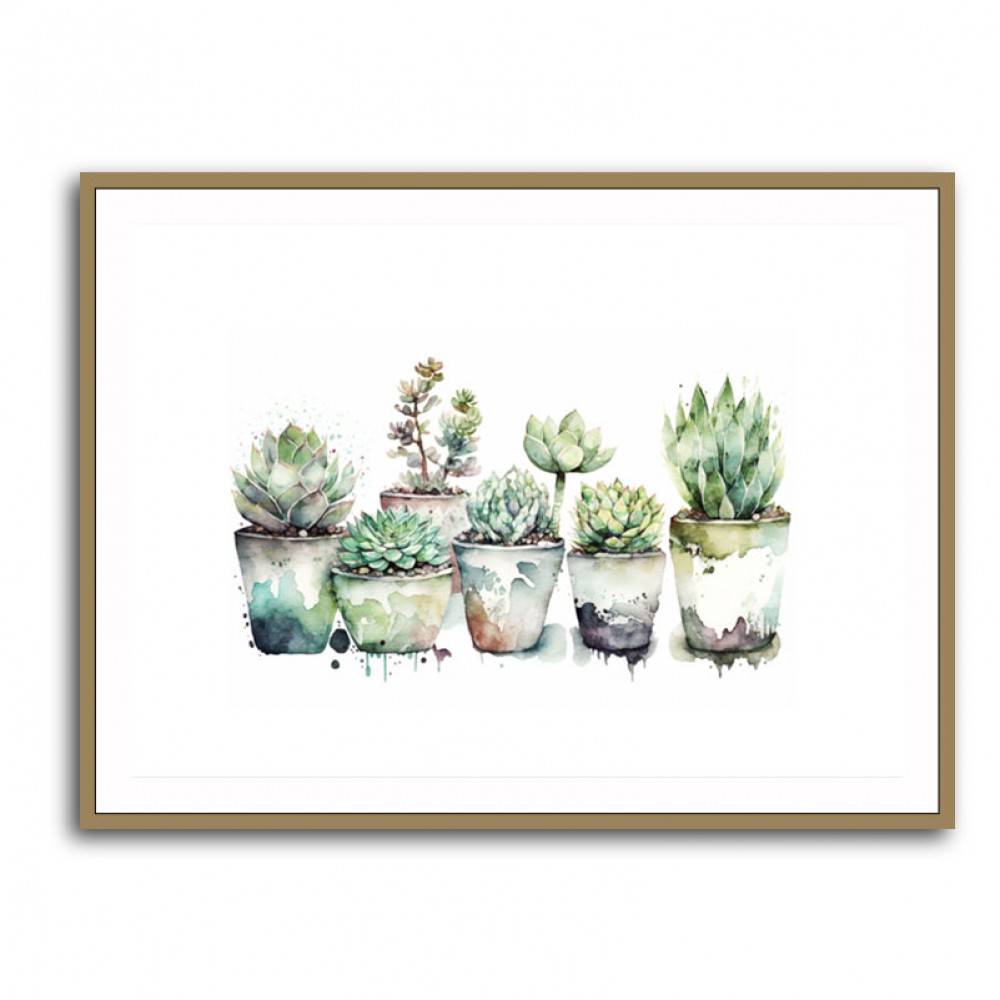 Urban Potted Succulents