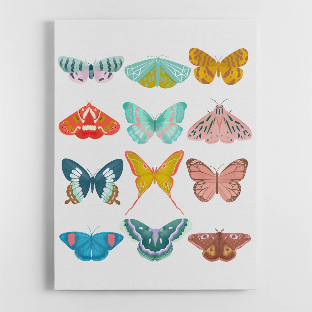 Butterfly Wall Art