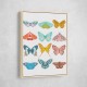 Butterfly Wall Art