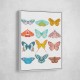 Butterfly Wall Art