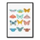 Butterfly Wall Art