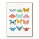 Butterfly Wall Art