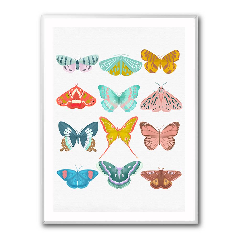 Butterfly Wall Art