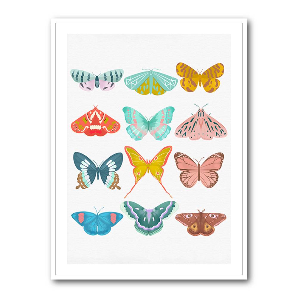 Butterfly Wall Art