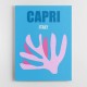 Capri Wall Art