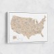 Taupe watercolor US map