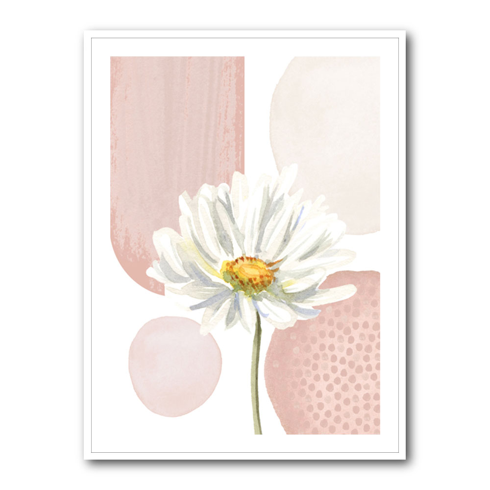 Daisy Pinks 1