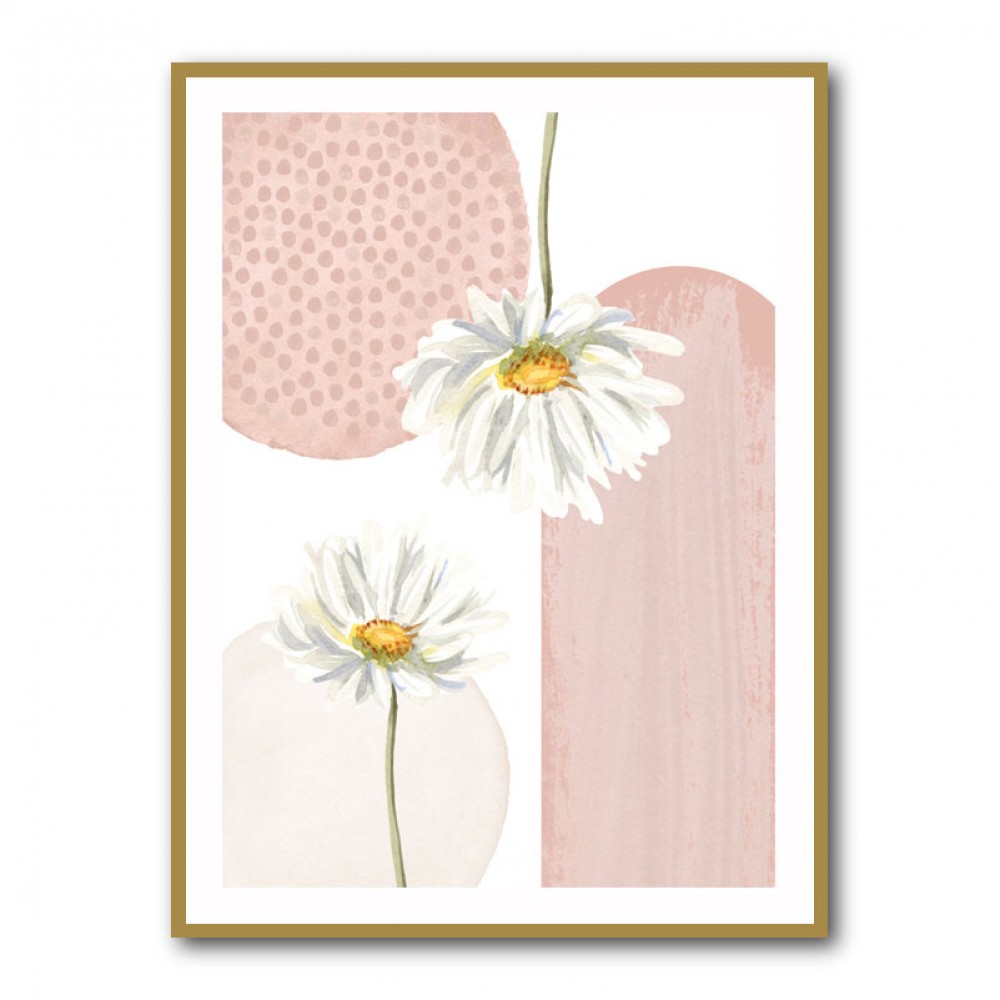 Daisy Pinks 3