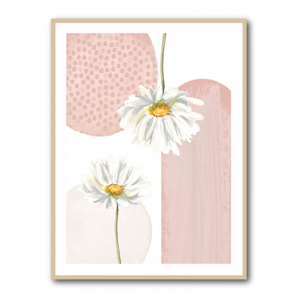 Daisy Pinks 3