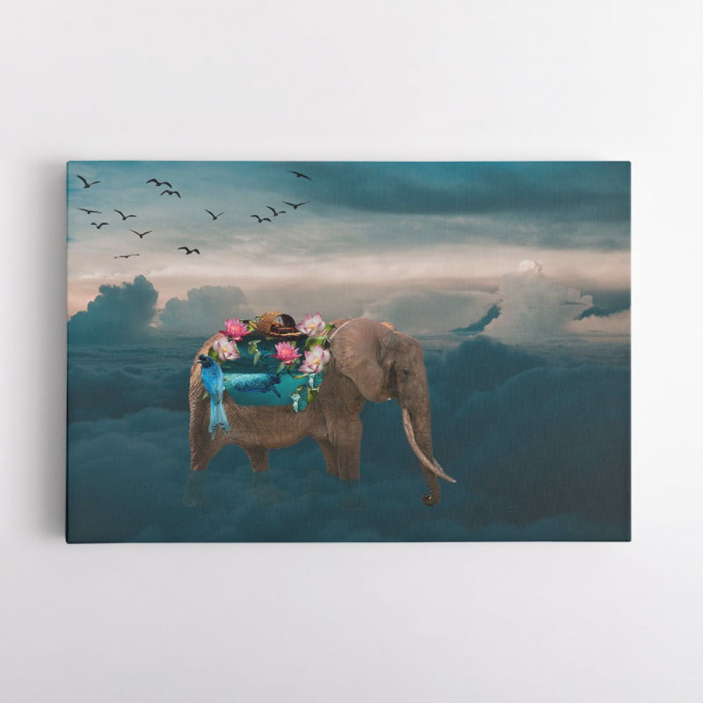 Sea Elephant