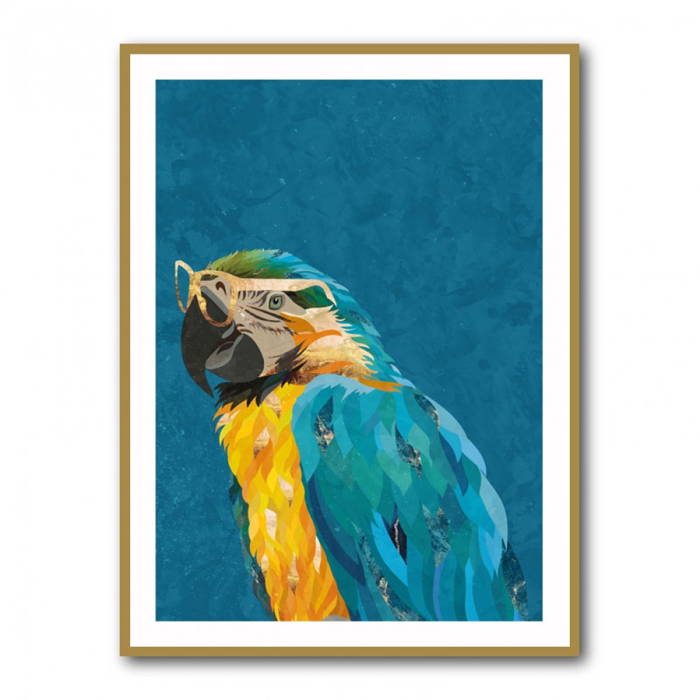 Vibrant Macaw Wearing Glasses