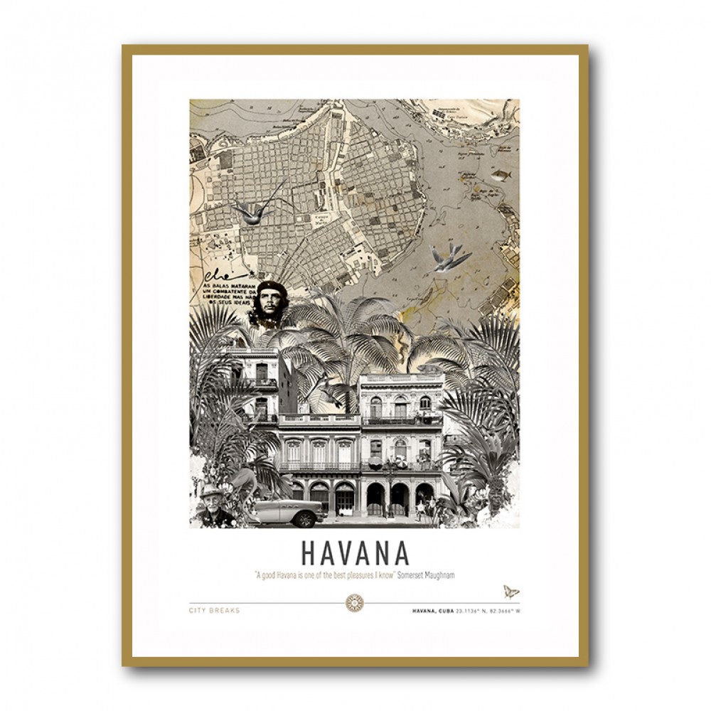 Havana City Art