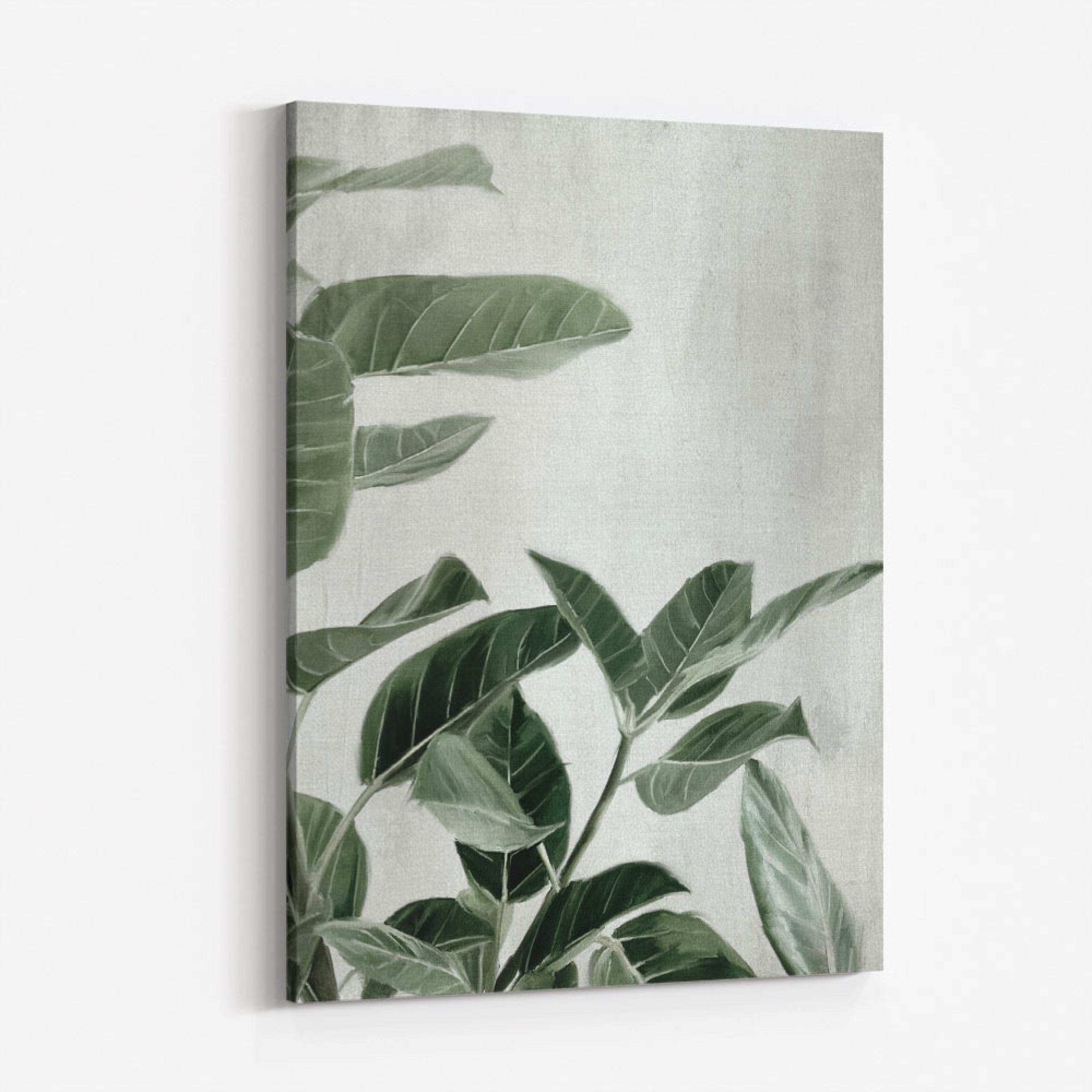 Ficus Wall Art