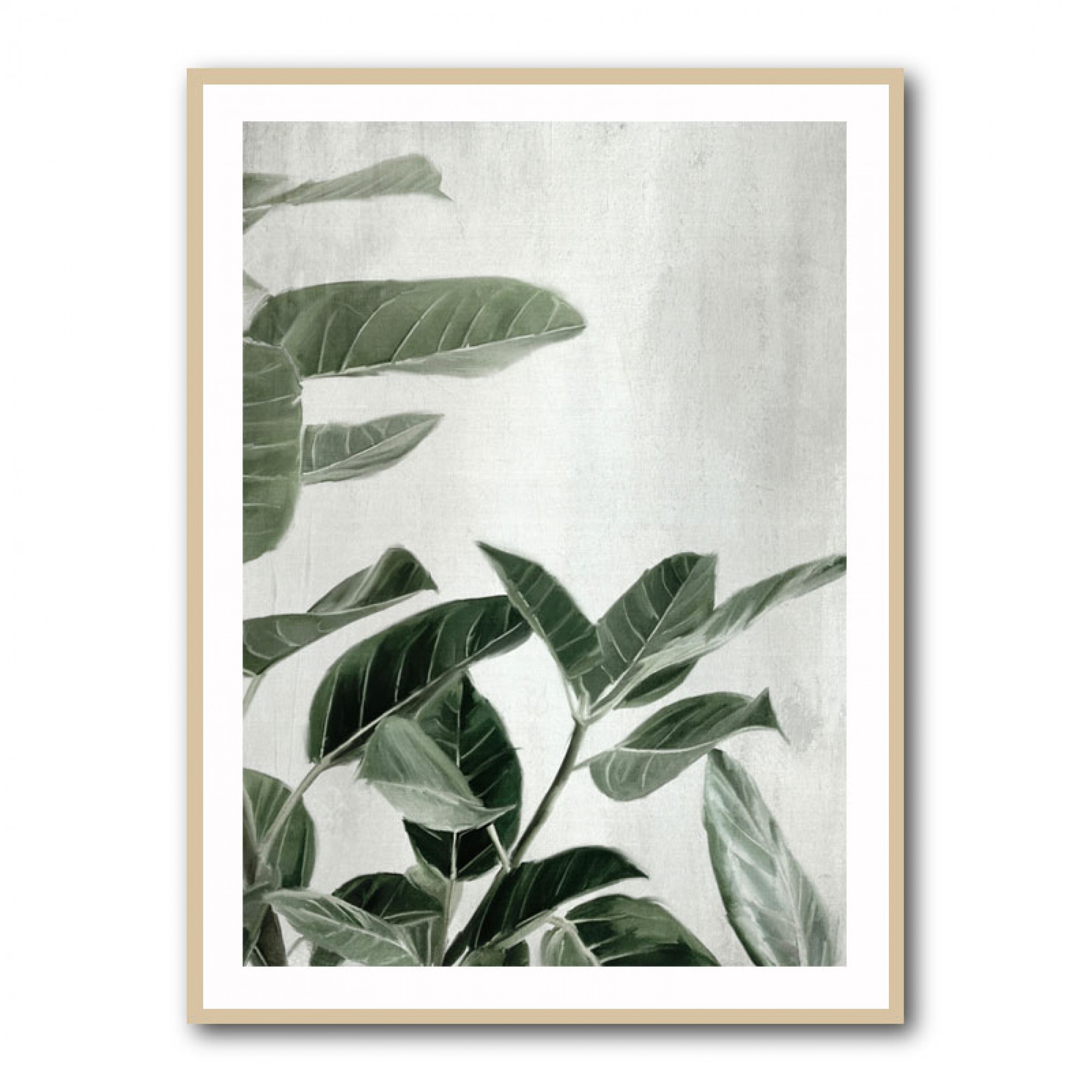 Ficus Wall Art