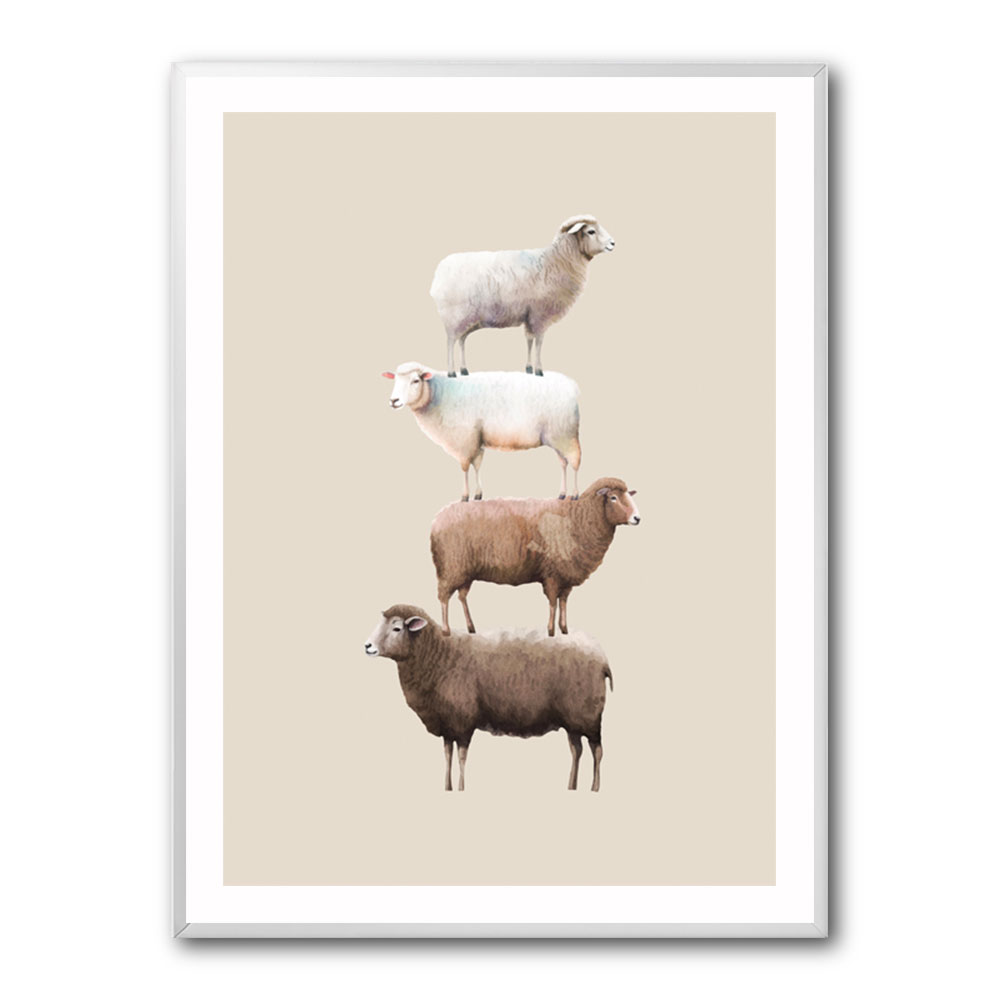 Sheeps