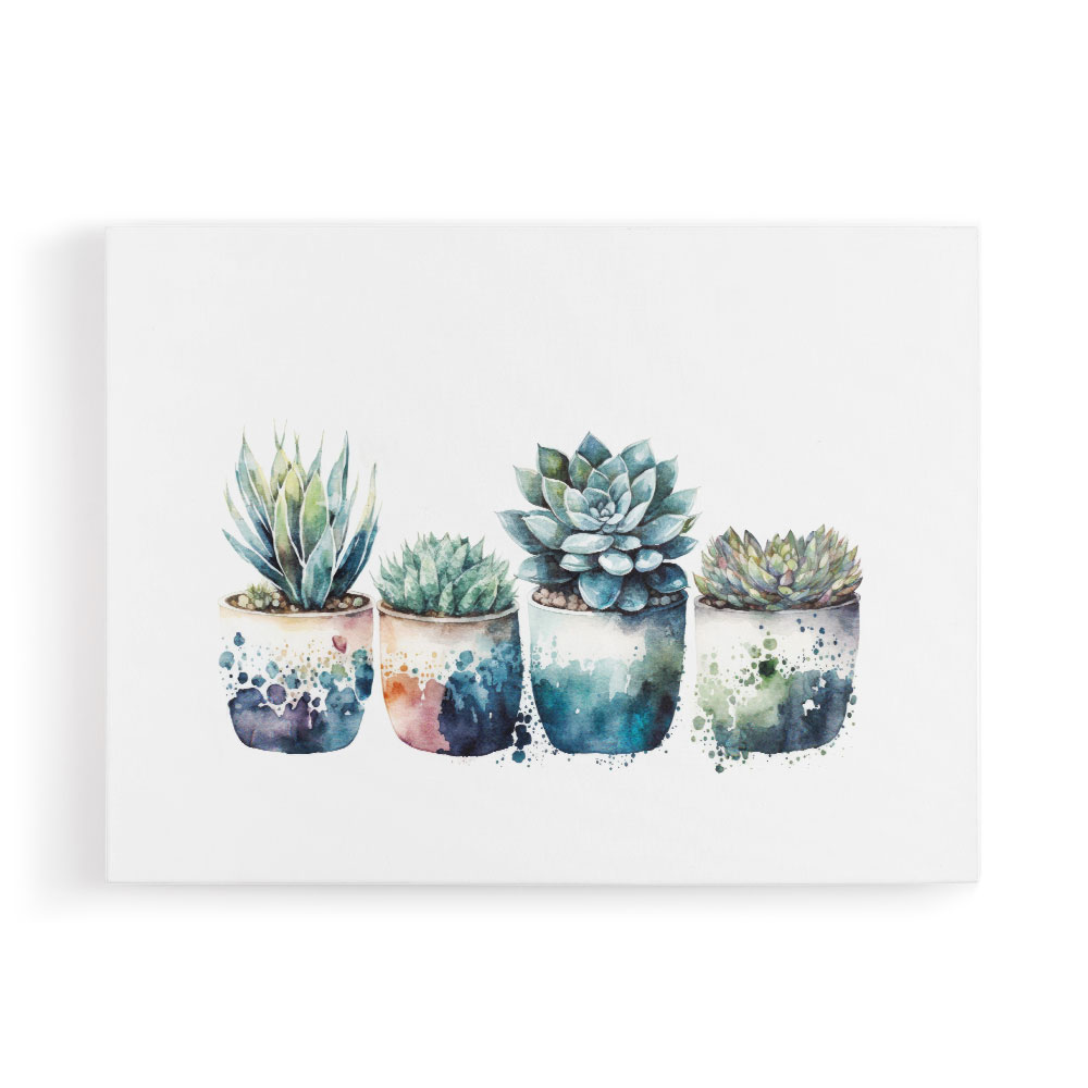 Blue Shades Succulents