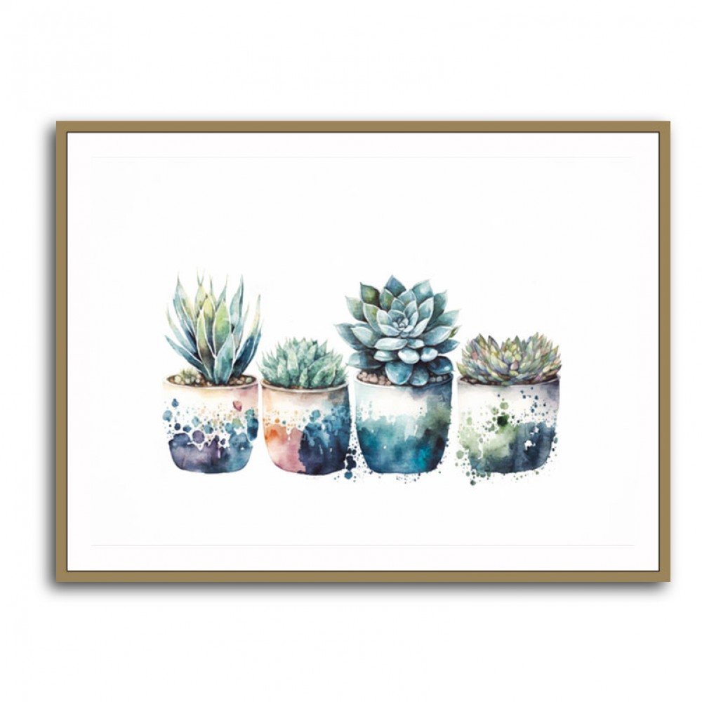 Blue Shades Succulents