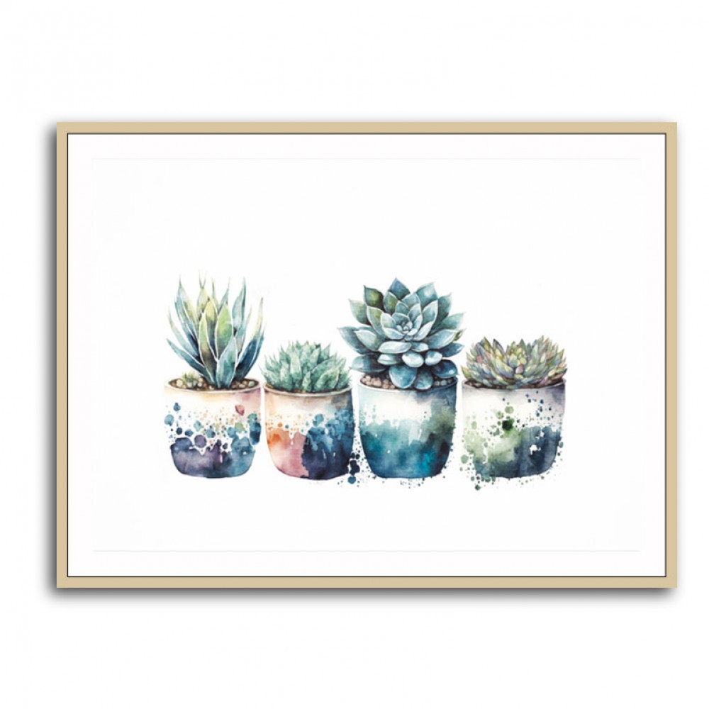 Blue Shades Succulents