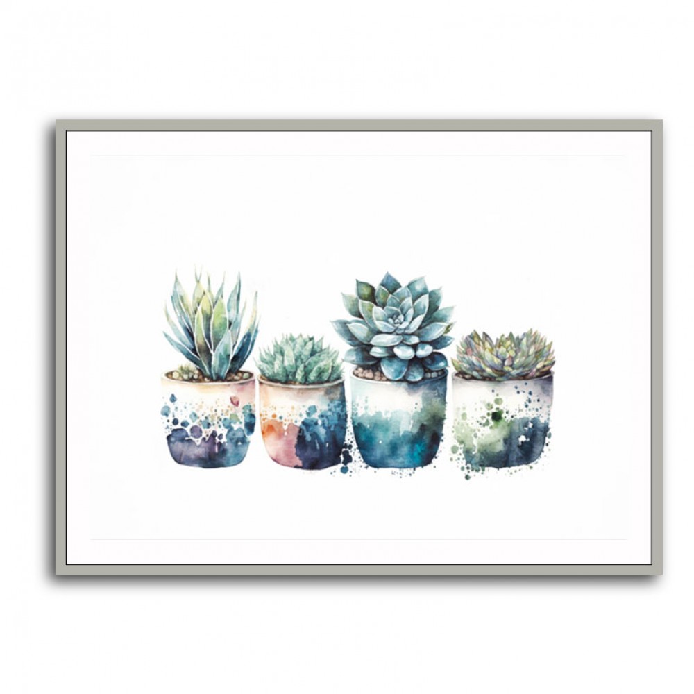 Blue Shades Succulents