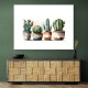 Brown Shades Cactus