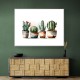 Brown Shades Cactus