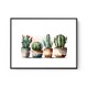 Brown Shades Cactus