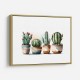 Brown Shades Cactus